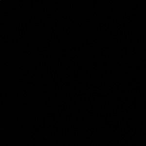 Meet your Posher, Ernest